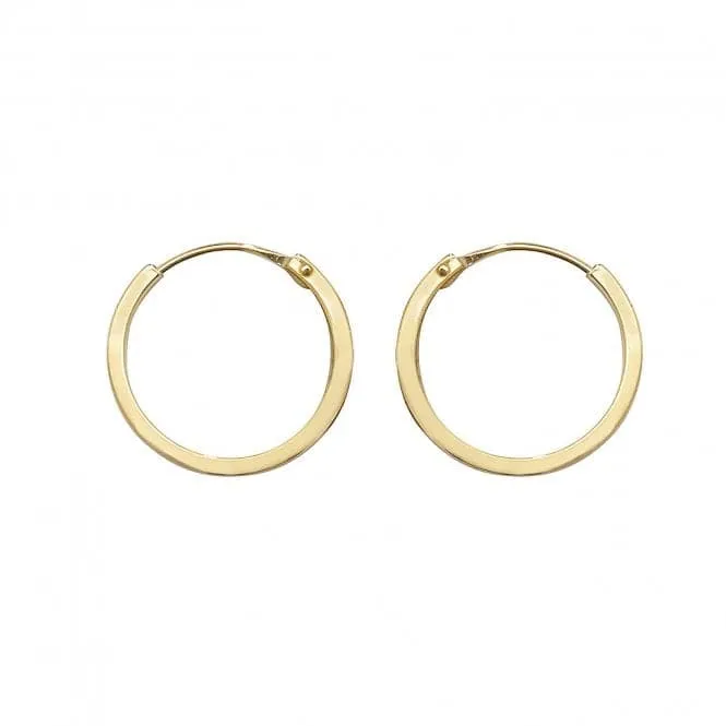 9ct Yellow Gold 10mm Sleepers Earrings ES148