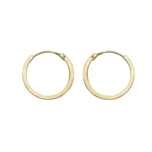 9ct Yellow Gold 10mm Sleepers Earrings ES148