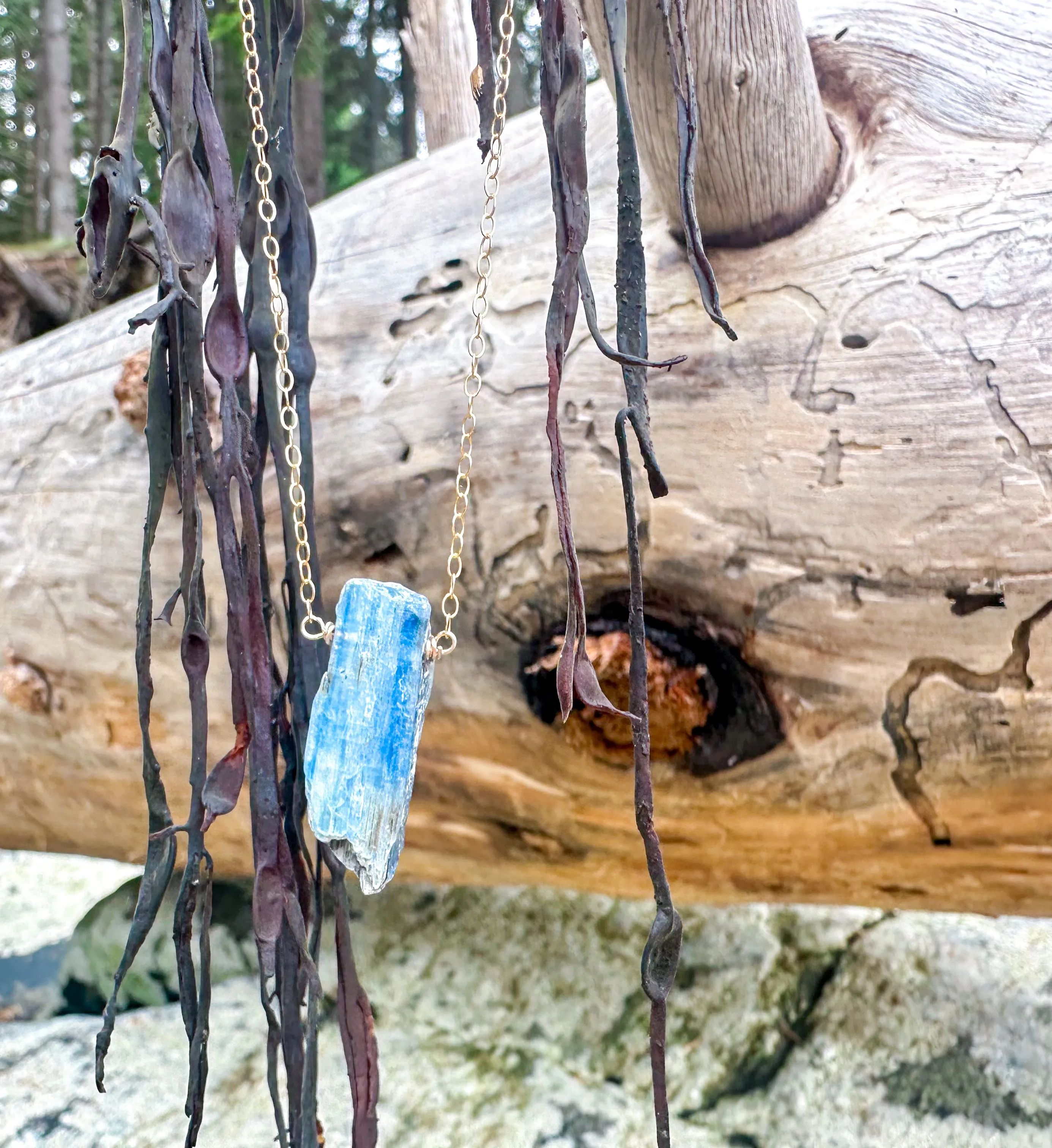 Kyanite Point Necklace