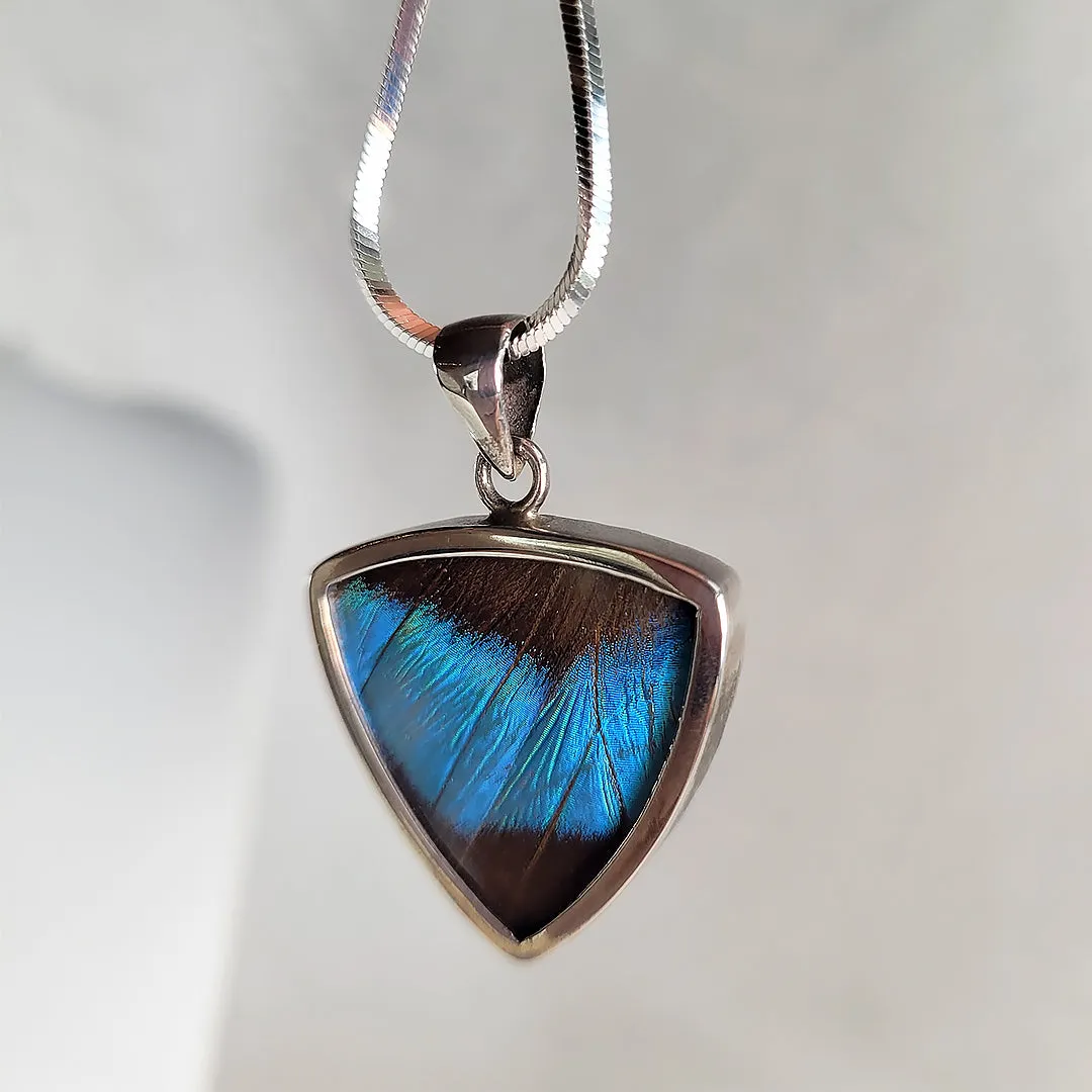 Real Butterfly Wings and Sterling Silver Pendant